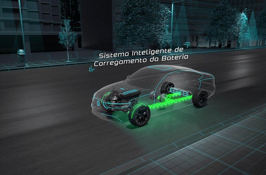 _0000s_0000_Regeneracao03